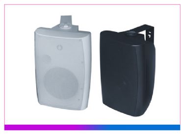 豪华型壁挂音箱（20W） 黑色/白色可选